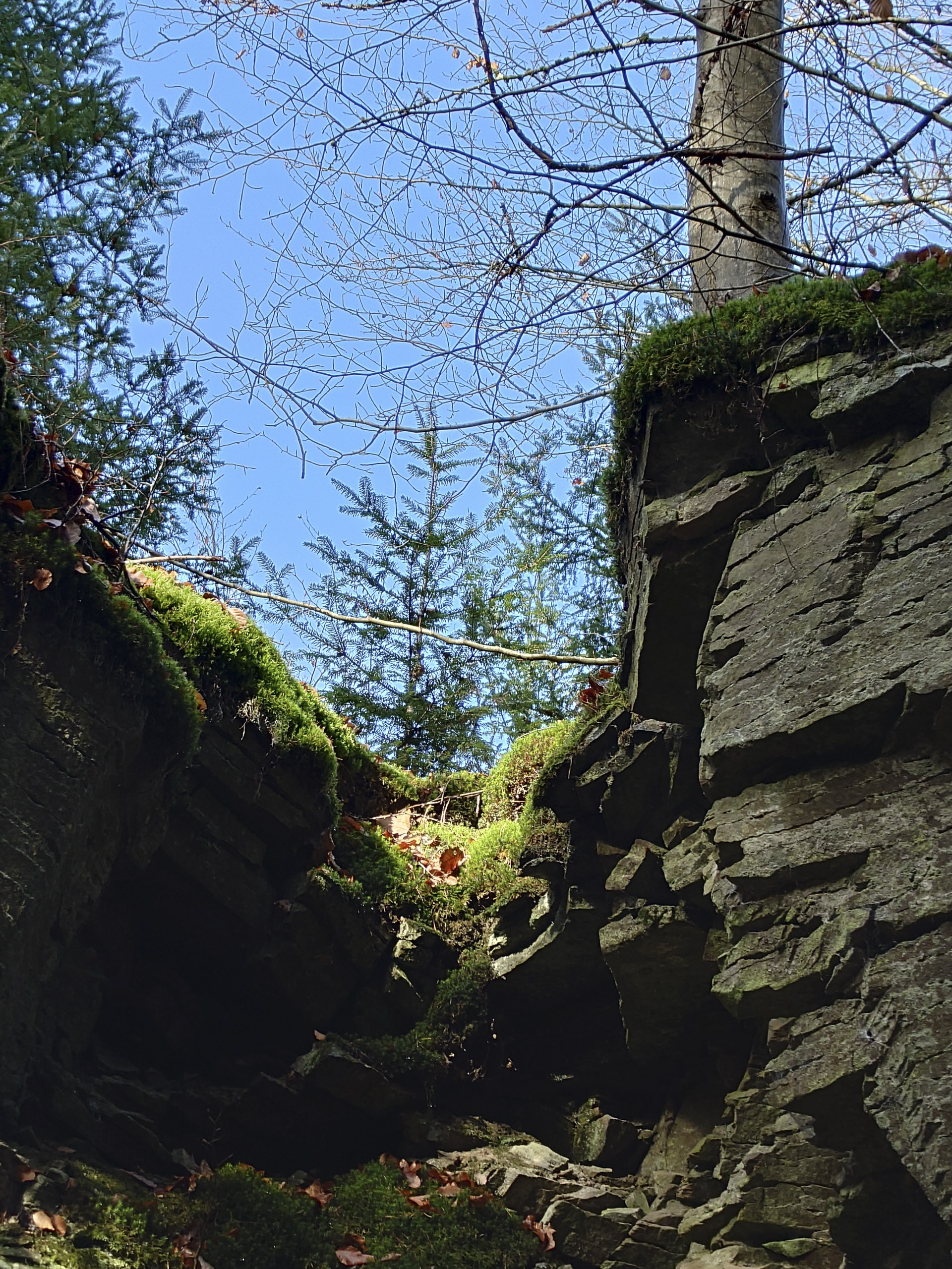 20251129122219 20251129 122218974